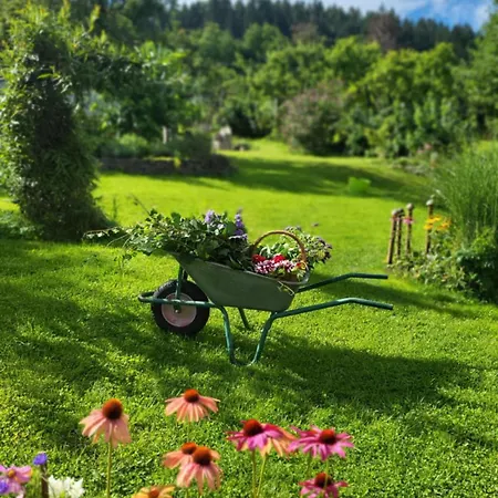 Kdebolotambolo Chalupka * Belá